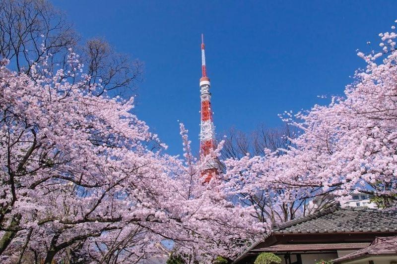 Tokyo Kakan Kültér fotó